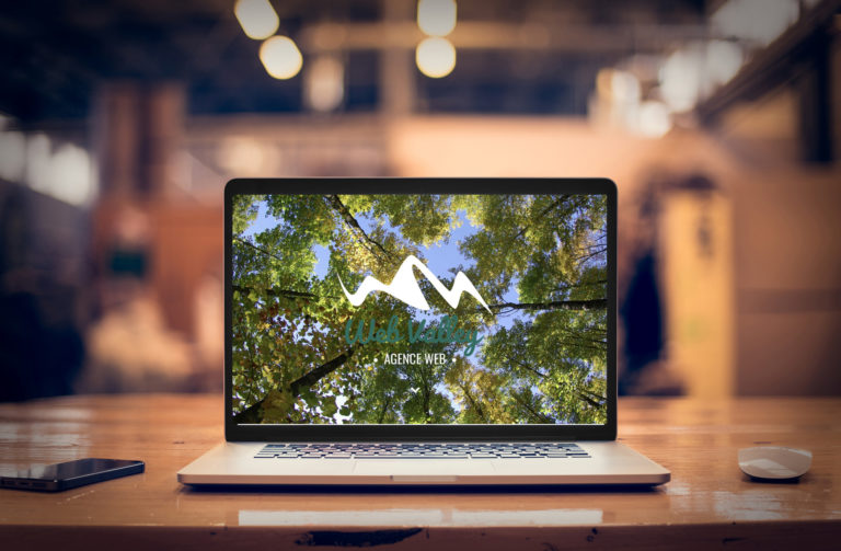 agence Marketing Web Valley